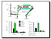 Demo Plot 1